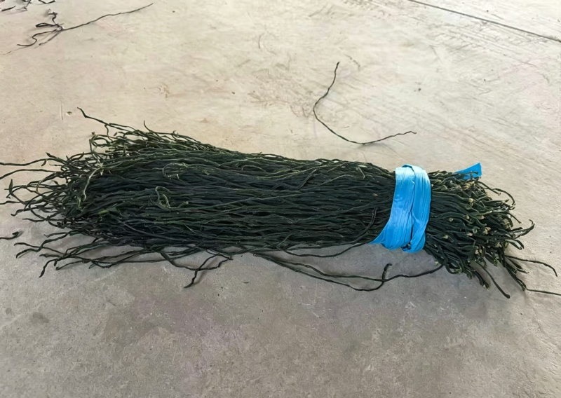 精品干豆角