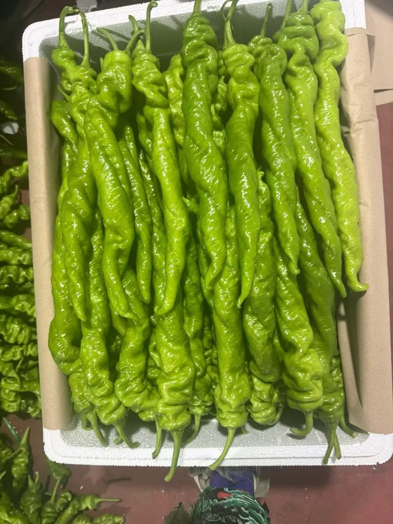 螺丝椒