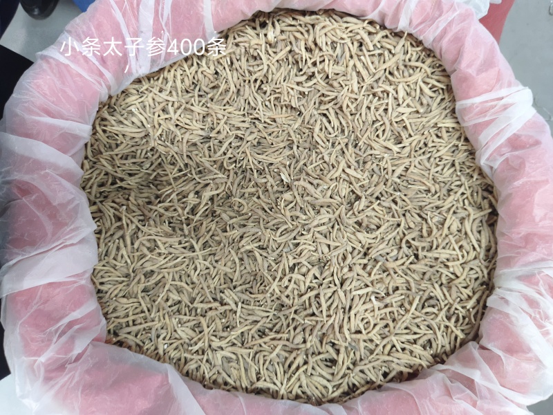 精品无硫太子参新干度净度颜色好量大从优