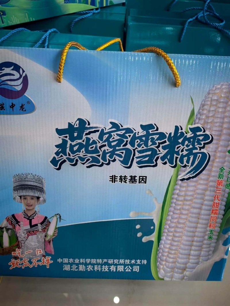 燕窝雪糯玉米，需要的老板可以联系我，产地直发，保证质量。
