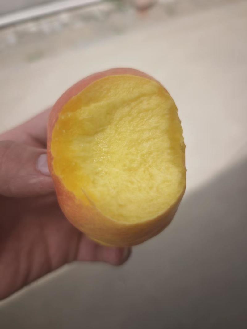 蟠桃5