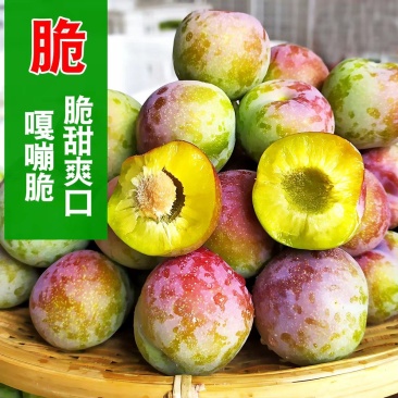李子.八宝丹.五月脆品种齐全口感纯甜.45起步一手货源