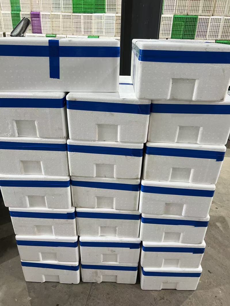 新鲜秋葵现采现发规格标准泡沫箱锁鲜全国配送可零售批发