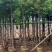 香樟截杆货4-20公分