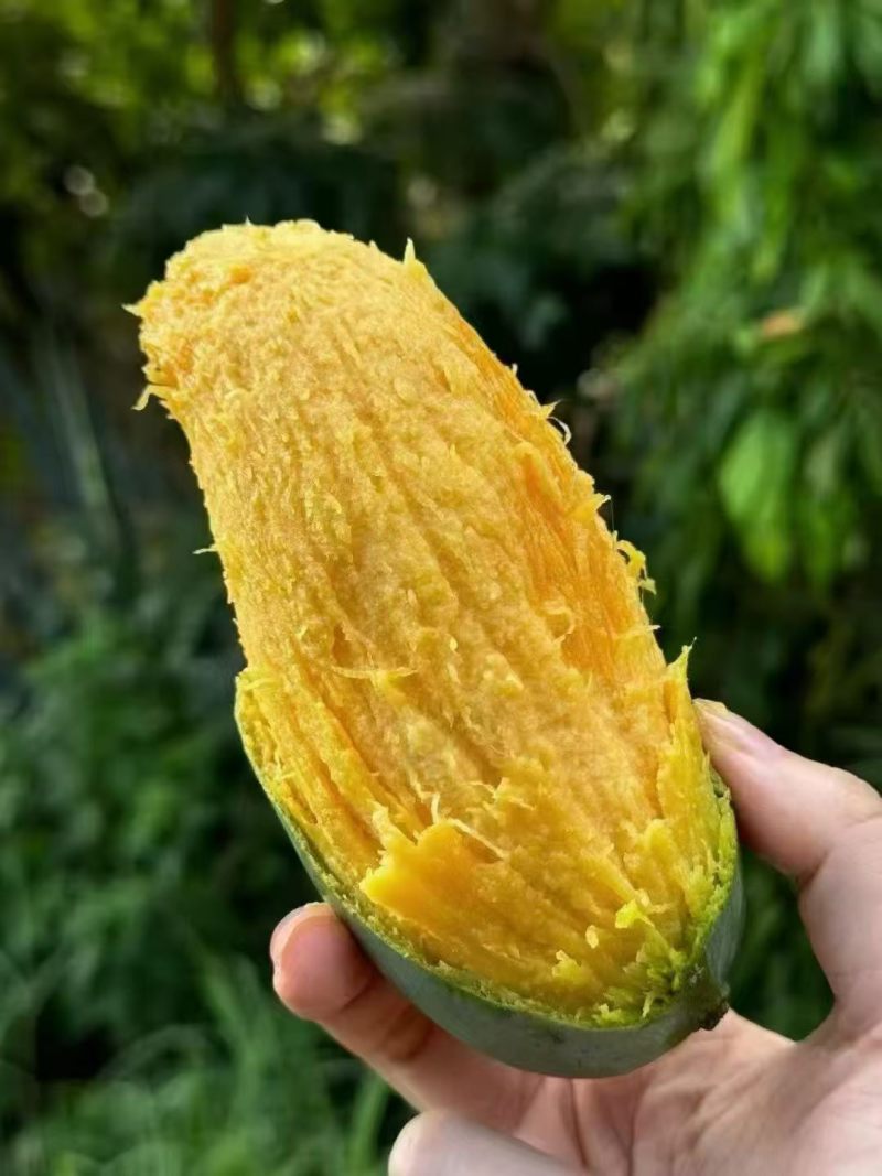 桂七芒，欢迎电商对接
