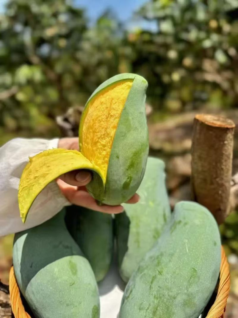 桂七芒，欢迎电商对接