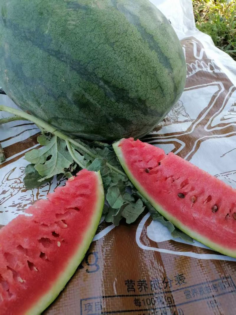 西瓜