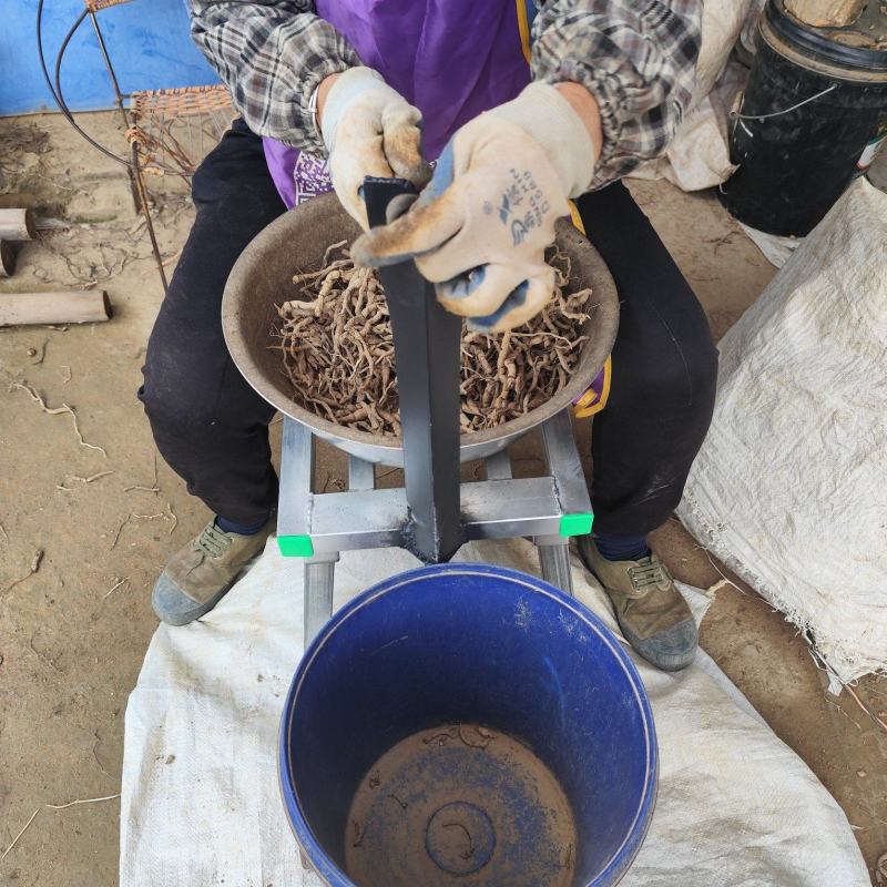 多功能巴戟去芯神器可以接叠升高底按个人调巴戟加工抽芯神器