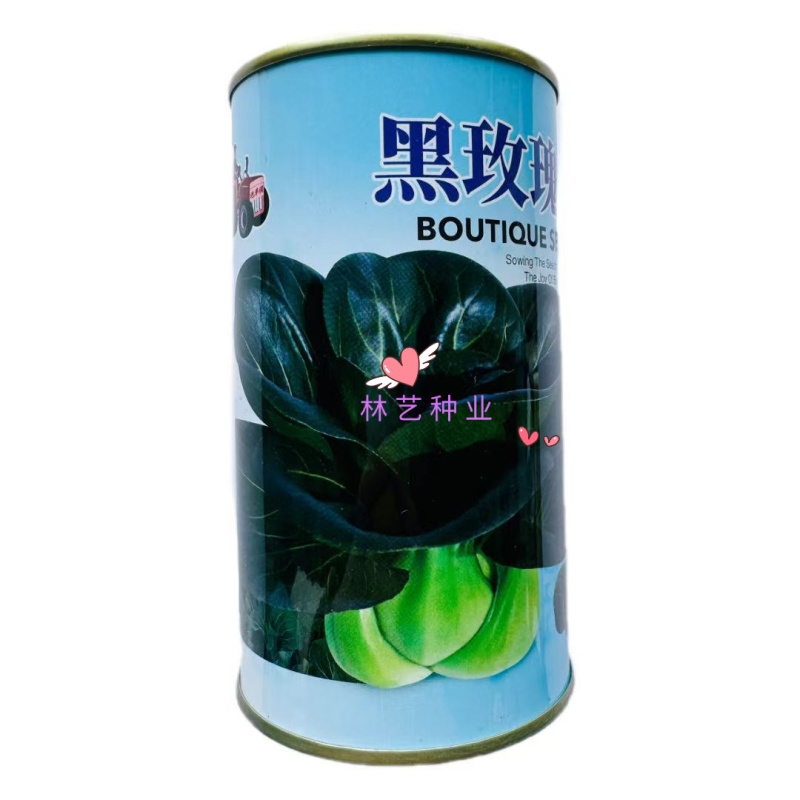 黑玫瑰矮箕青帮绿叶青梗菜种子不结球耐寒肥厚蔬菜种籽