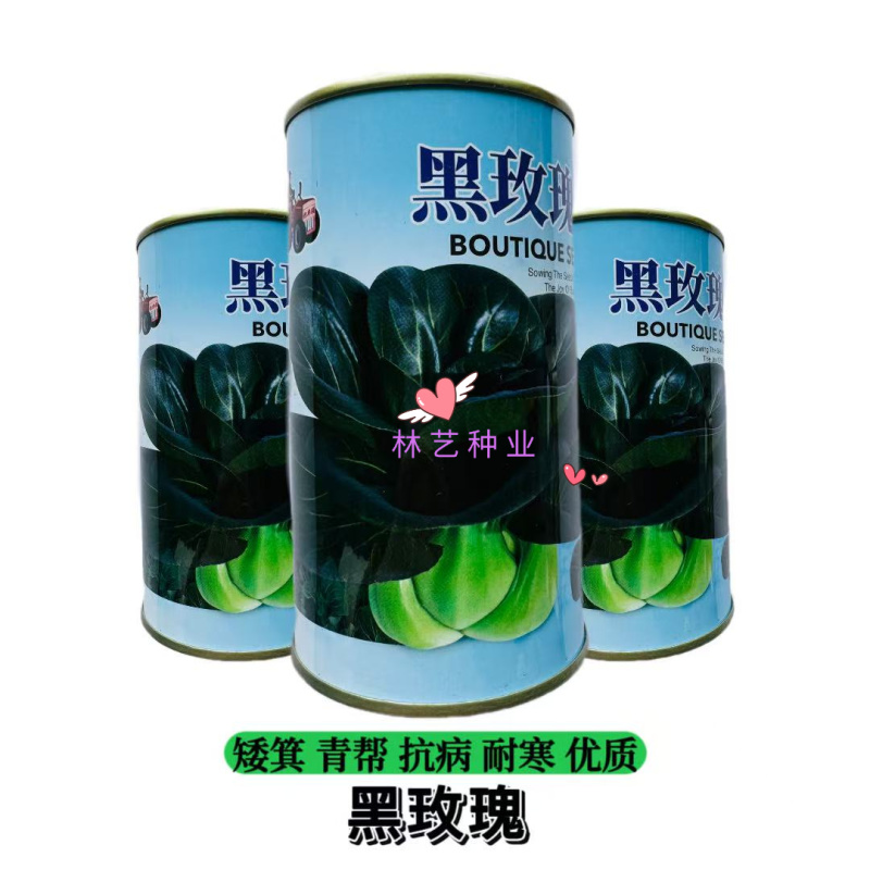 黑玫瑰矮箕青帮绿叶青梗菜种子不结球耐寒肥厚蔬菜种籽