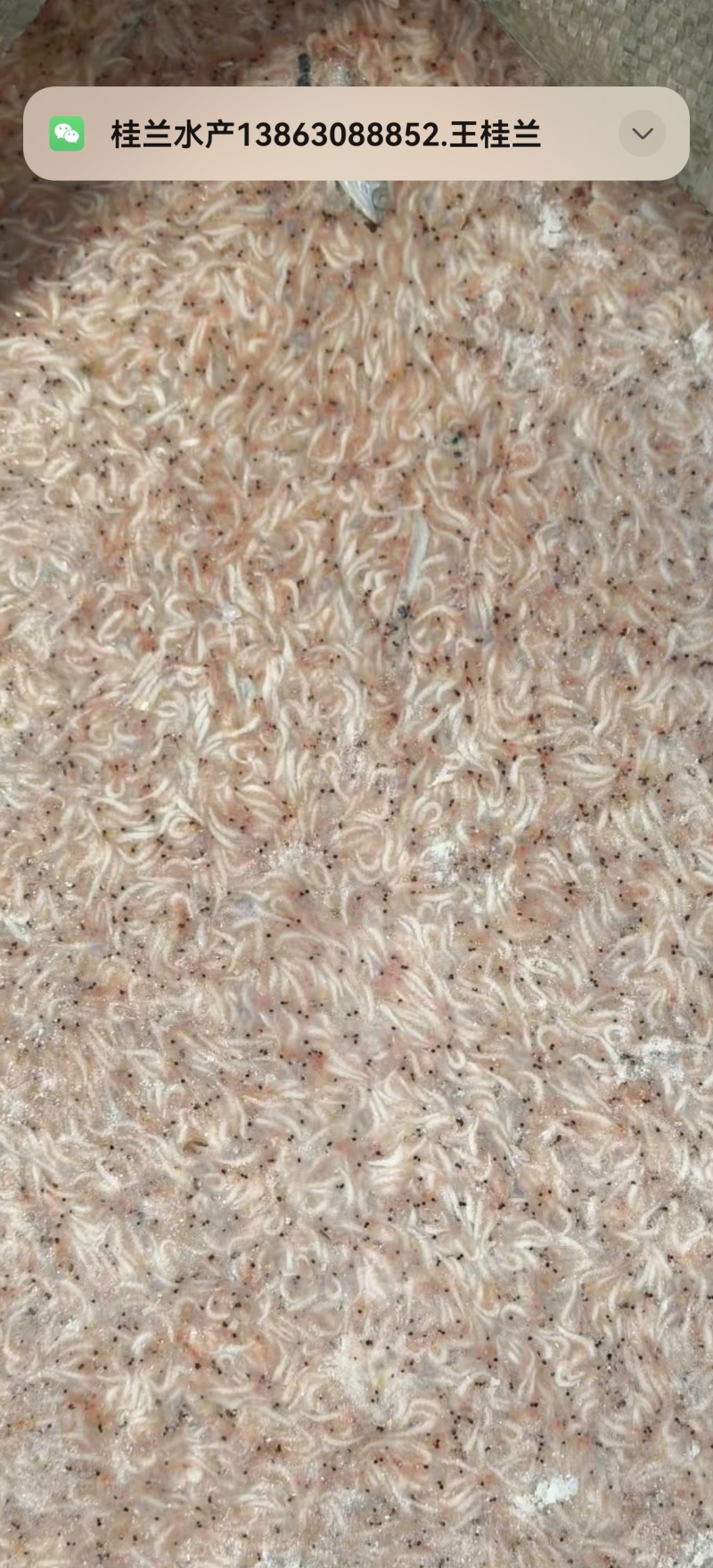 【陈货】虾皮高盐主打便宜，批发，喂鸡，量少勿扰
