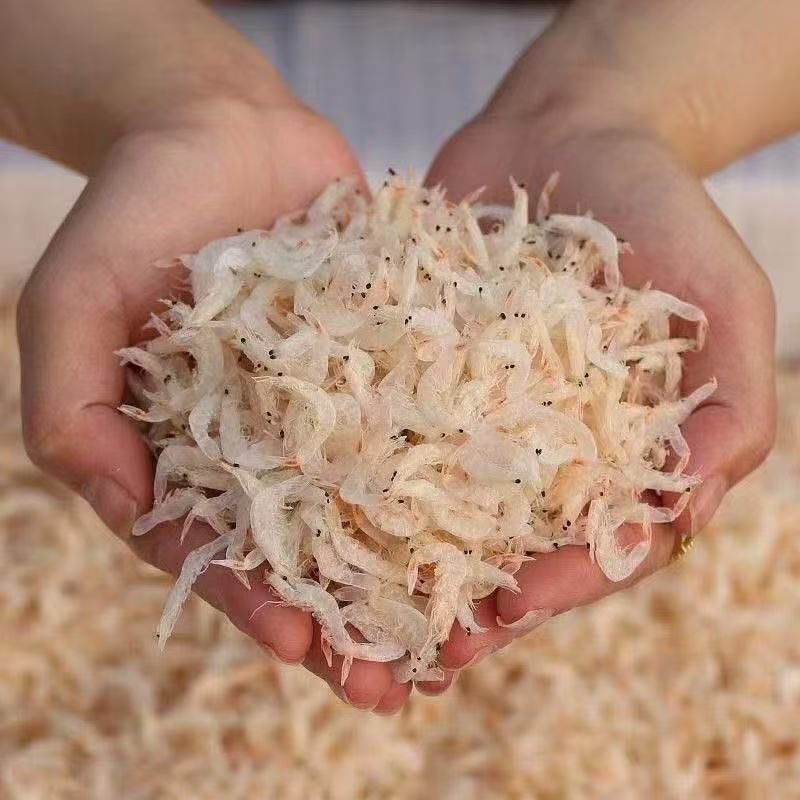 【新货虾皮】精品质量厂家直发货源稳定价格优惠