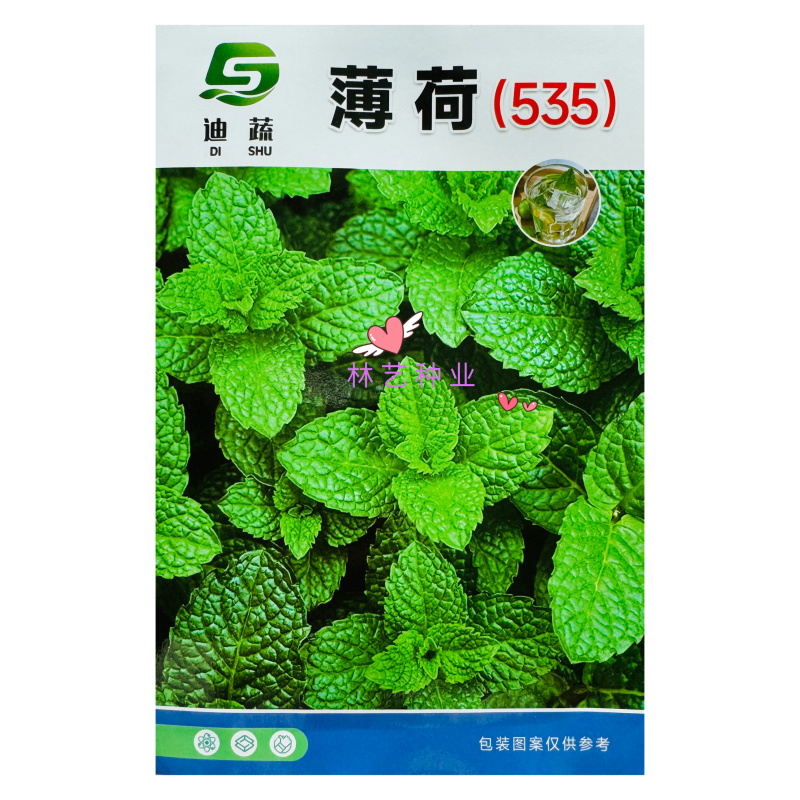 迪蔬薄荷535种子清爽驱蚊植物新鲜可食用盆栽庭院四季蔬菜