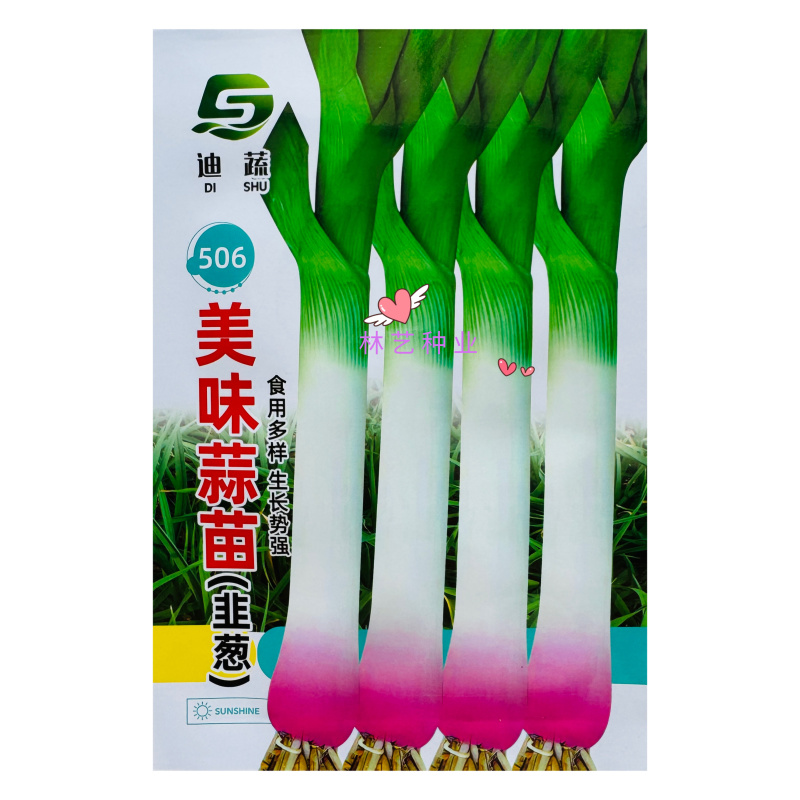 迪蔬506美味蒜苗韭葱种子红根扁叶洋蒜苗种籽生长势强