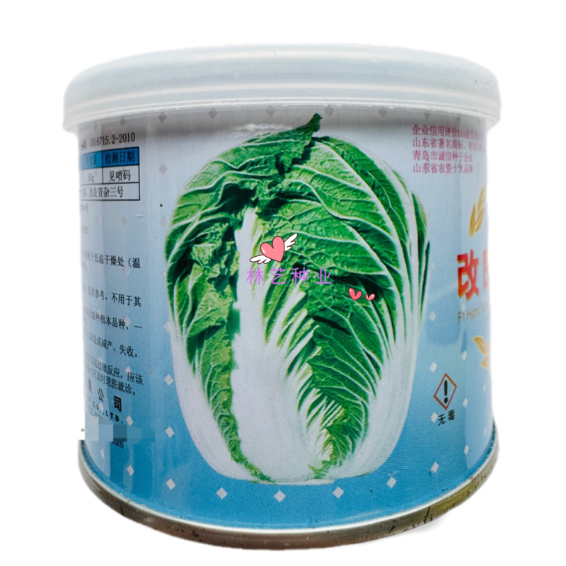 改良青杂三号大白菜种子外叶绿色叶柄薄而平叠抱中晚熟丰