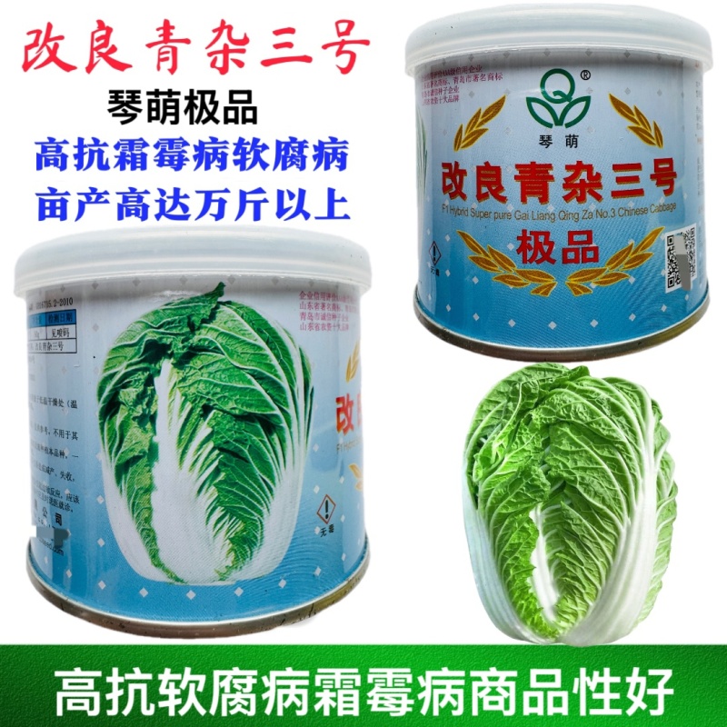 改良青杂三号大白菜种子外叶绿色叶柄薄而平叠抱中晚熟丰