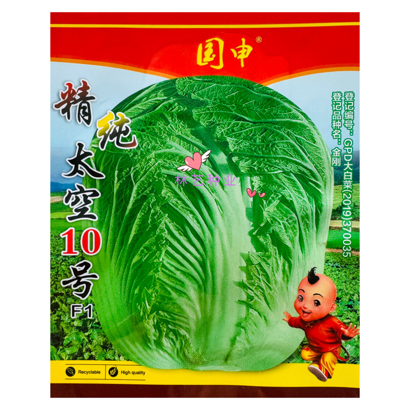 精纯太空10号大白菜种子杂交高产抗病心叶浅黄白菜籽秋季播