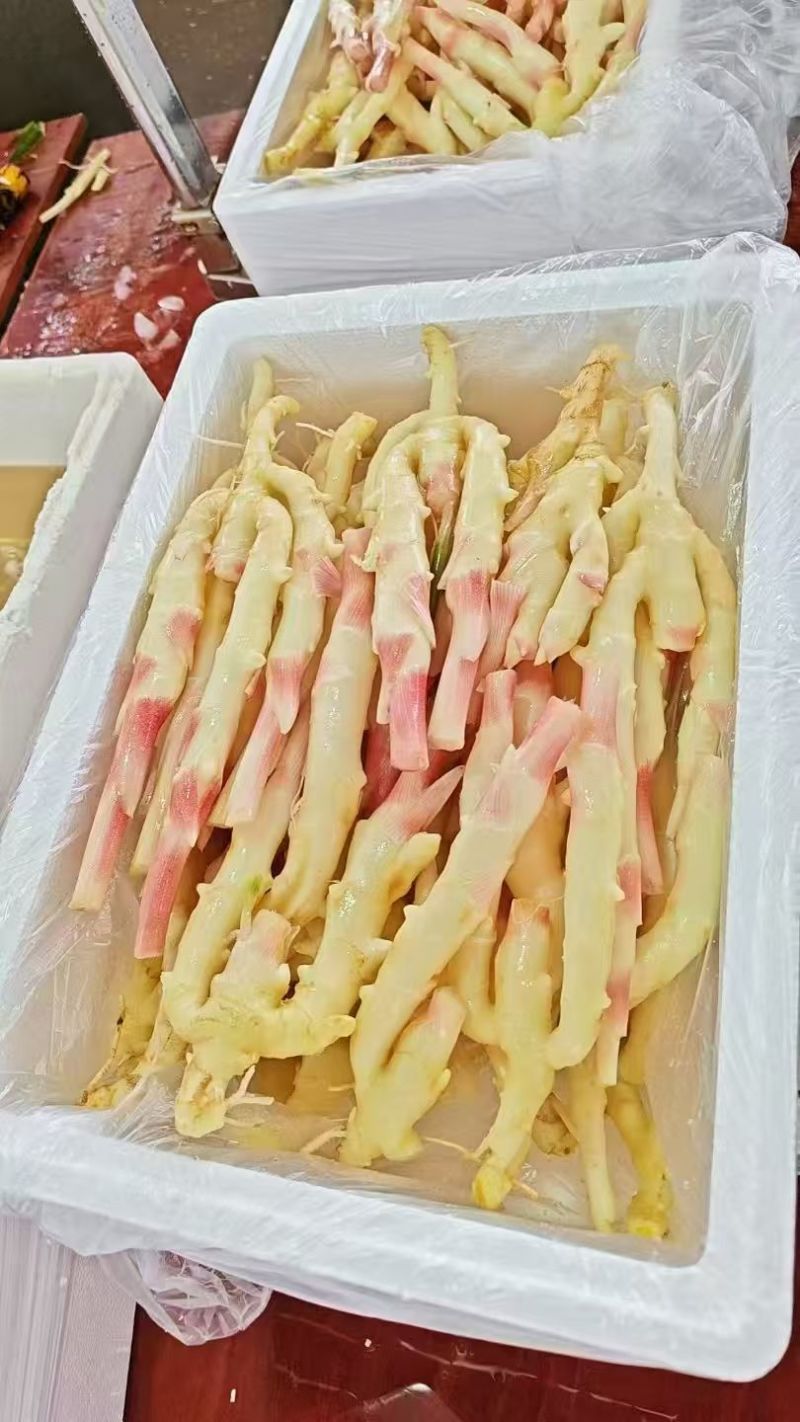 安丘市红芽鲜姜
