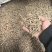 杂木颗粒生物质颗粒燃料
