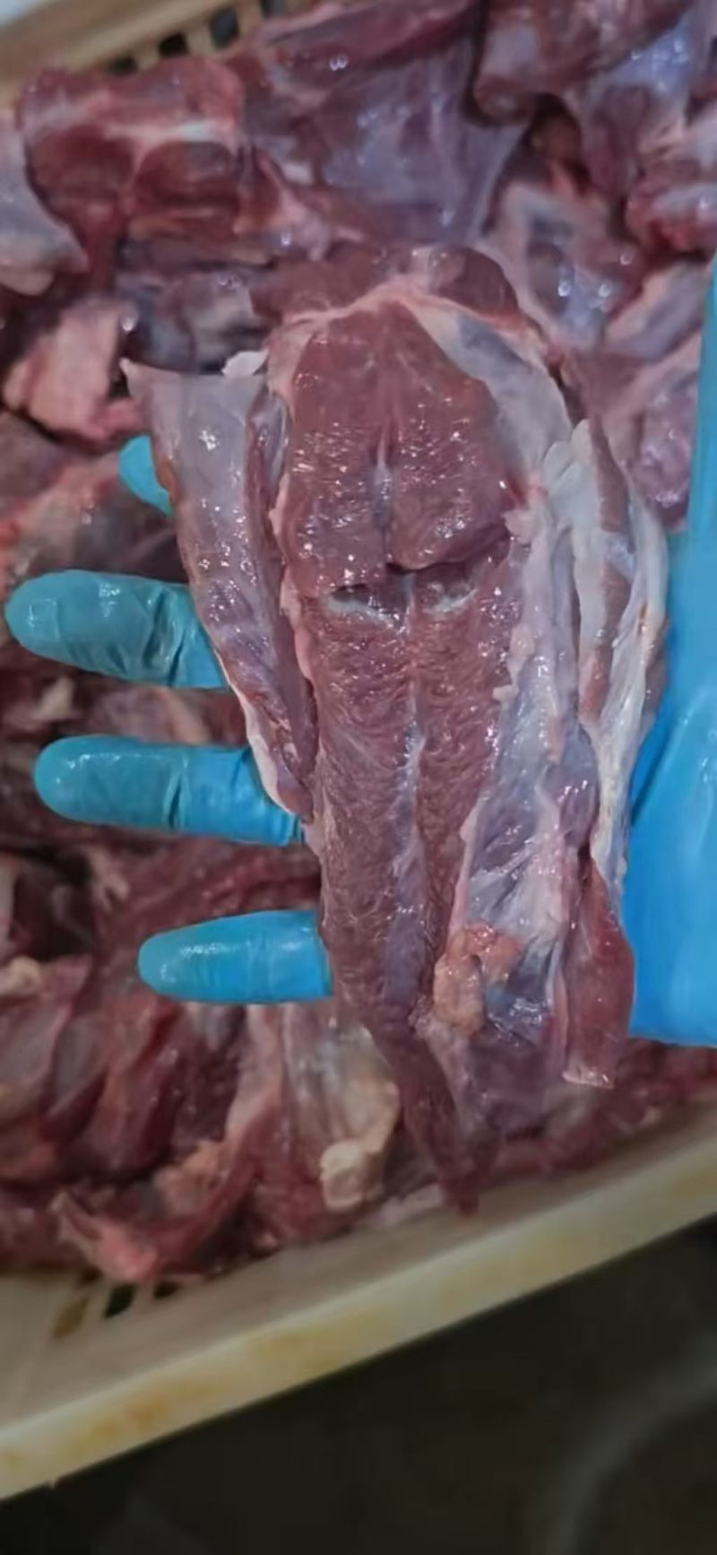 精修牛舌根肉（大块牛碎肉）