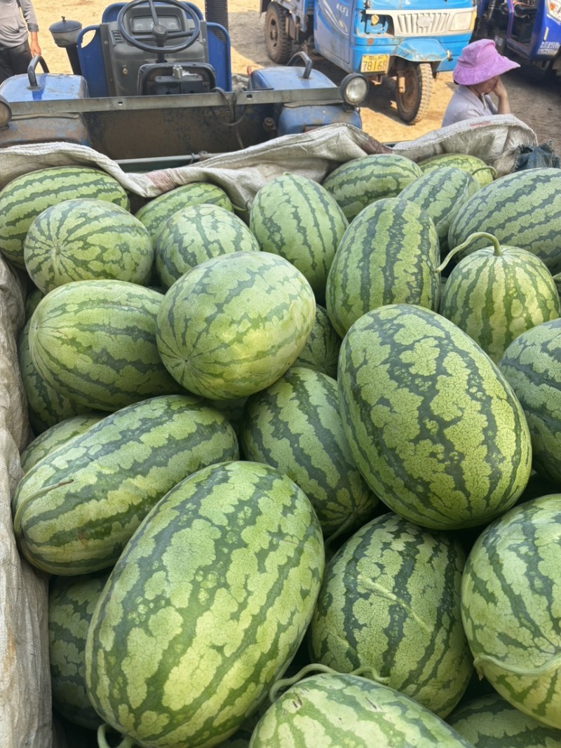 【头茬金城5石头瓜】质量三包品质更高！来电洽谈便宜优惠