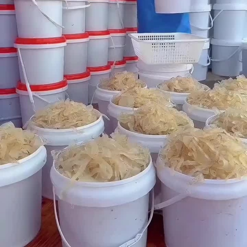【脆爽无沙】珊瑚斑点海蜇丝清爽凉拌菜海蜇头，海蜇丝批发