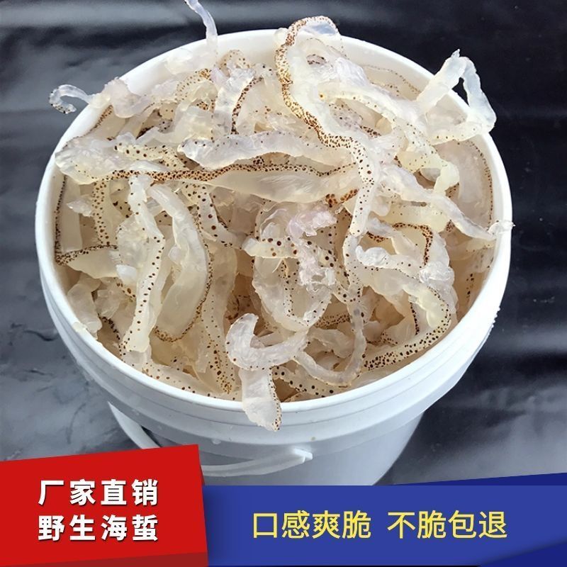 【脆爽无沙】珊瑚斑点海蜇丝清爽凉拌菜海蜇头，海蜇丝批发