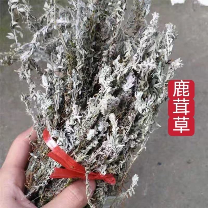 鹿茸草中药材干货白鸡毛鹿茸草六月霜千年艾正品批发零售