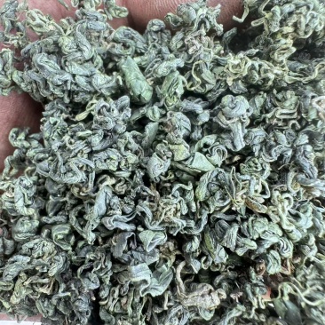 绞股蓝颗粒
