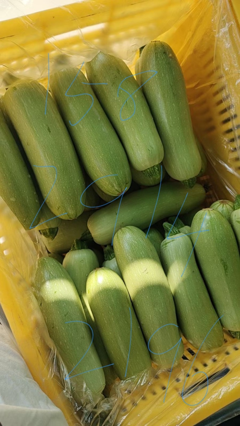 产地蔬菜