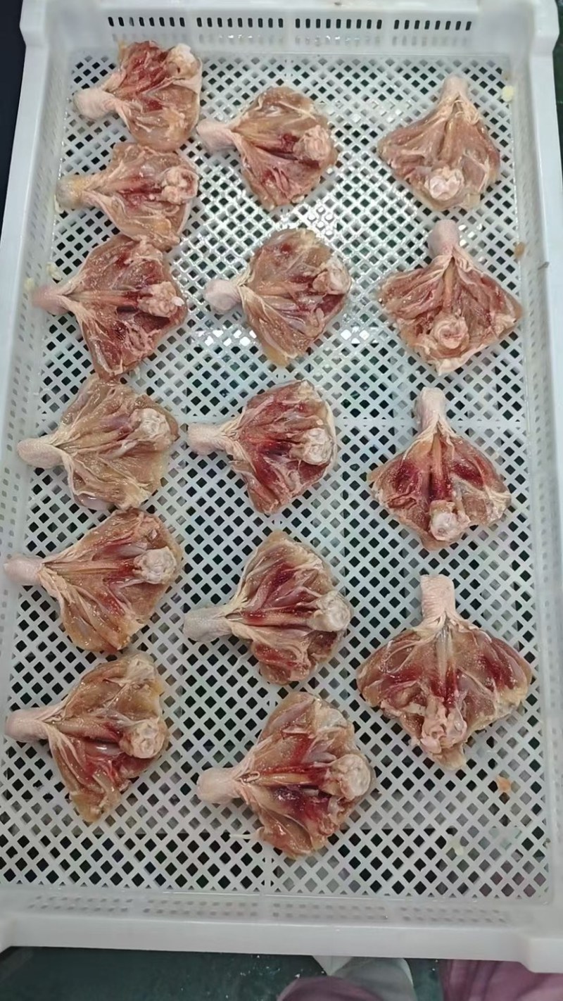 调理品棒棒鸡骨肉相联鸡柳鸡排小酥肉各种调剂品定制