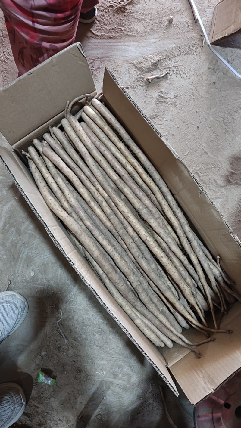 小白嘴山药铁棍山药，双棒山药，产地直供全年供应，全国发货