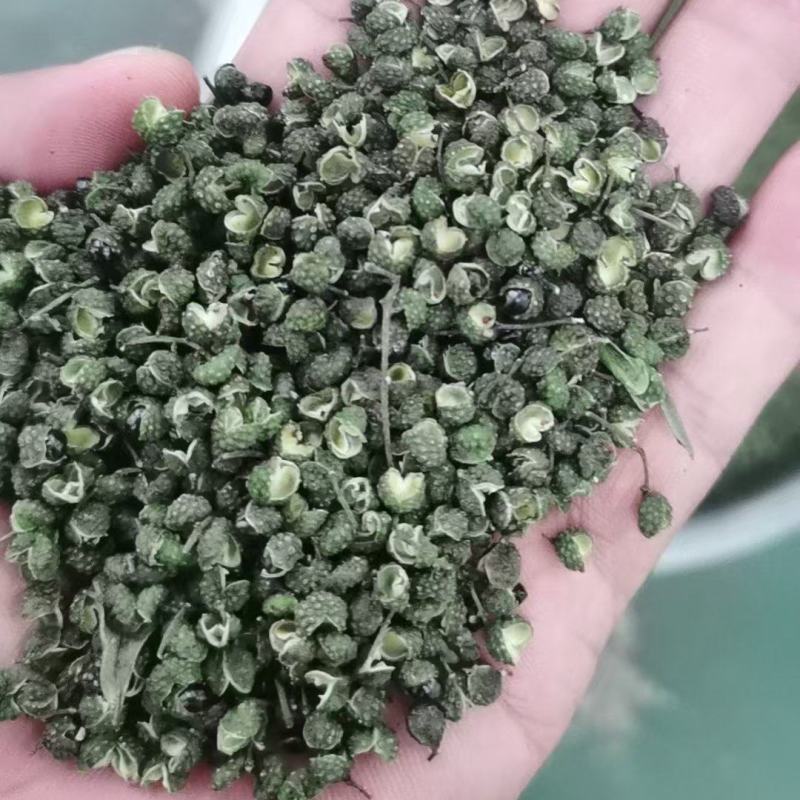 2026新季青花椒·干花椒开售