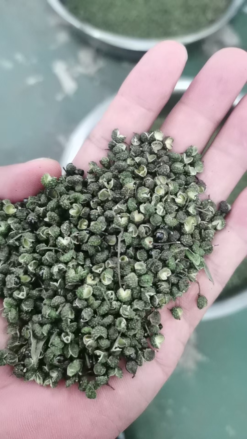 2026新季青花椒·干花椒开售