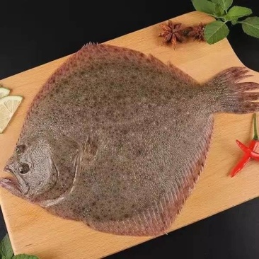 4-6两多宝鱼
