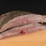 4-6两多宝鱼