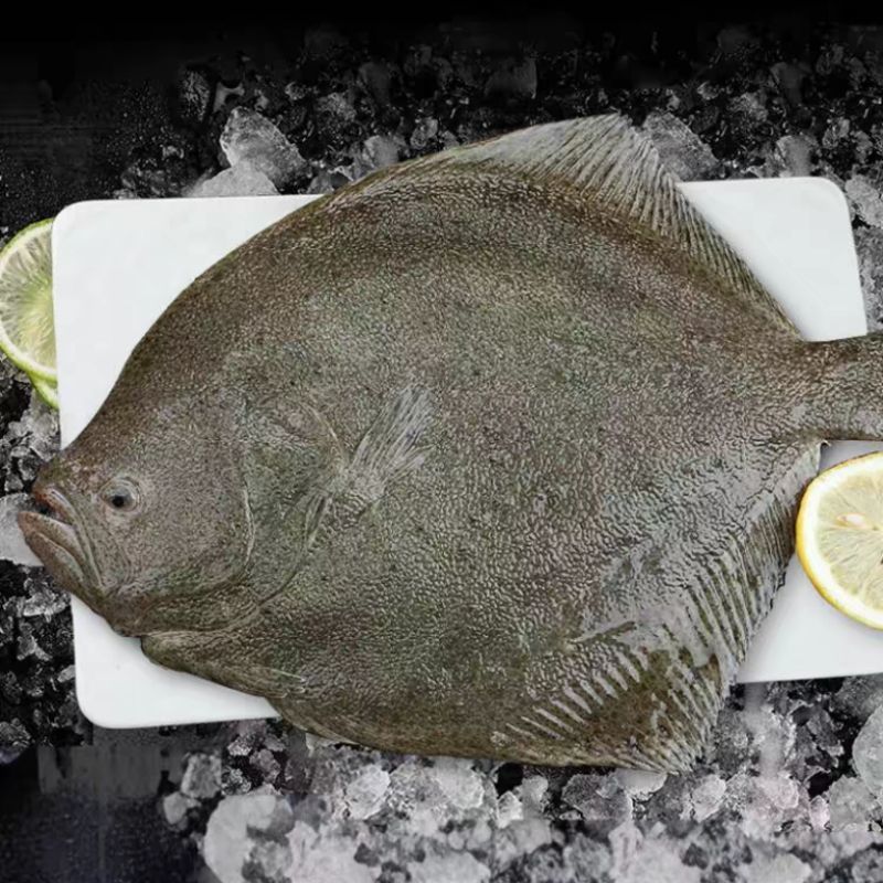 4-6两多宝鱼