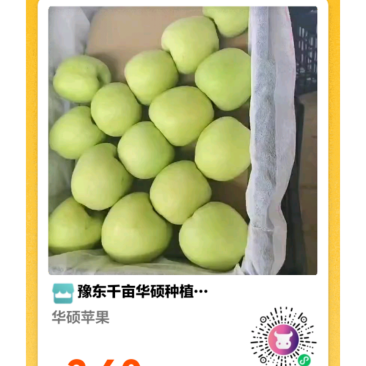 华硕青苹果