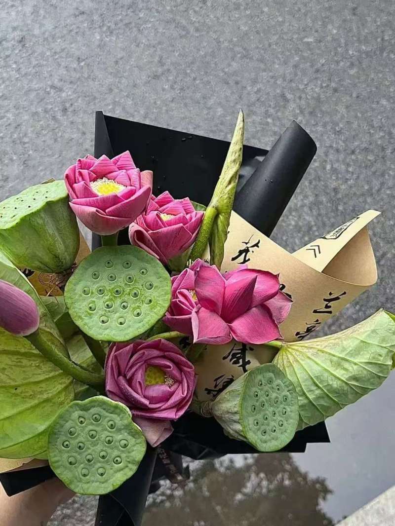 【莲蓬】微山湖水果莲蓬脆甜可口，天然绿色无污染，产地直发