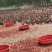 【鲜鸭蛋】微山湖基地散养红心生鸭蛋，产地直发一手货源
