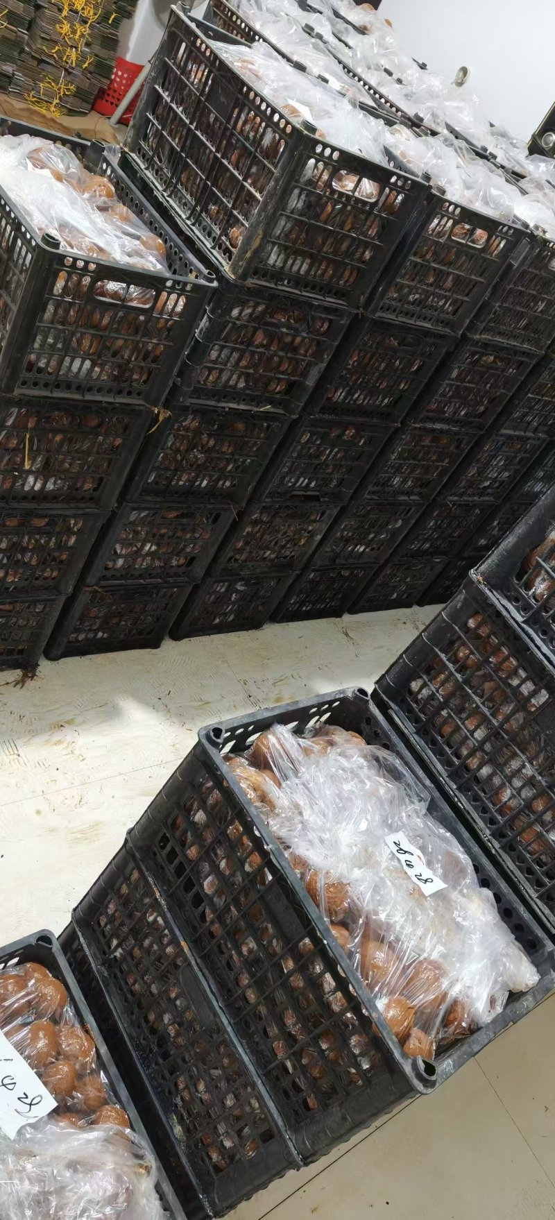 【烤鸭蛋】微山湖特产选用优质散养鸭蛋，烤制而成，咸香流油