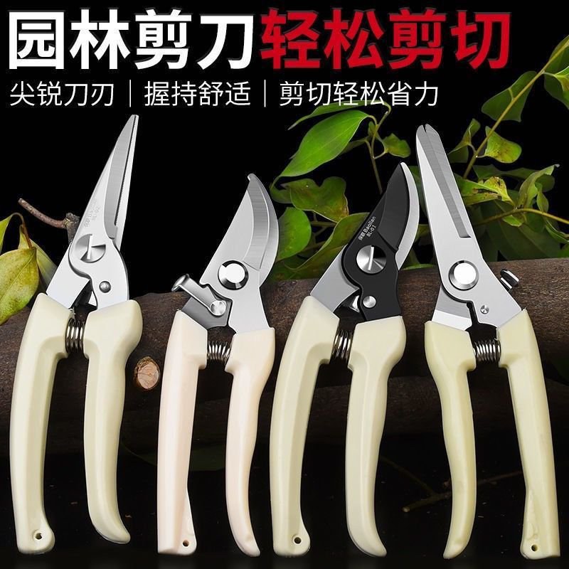 修剪神器园艺剪刀摘水果树枝修花工具盆栽修枝剪不锈钢家用果