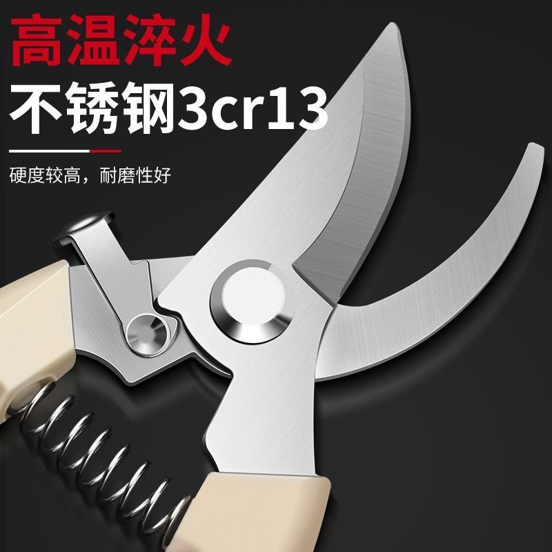 修剪神器园艺剪刀摘水果树枝修花工具盆栽修枝剪不锈钢家用果