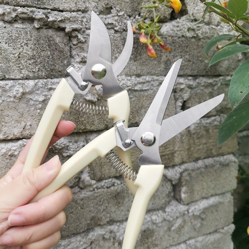 修剪神器园艺剪刀摘水果树枝修花工具盆栽修枝剪不锈钢家用果
