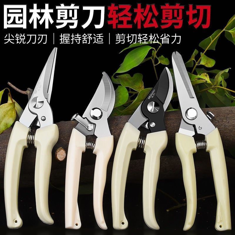 修剪神器园艺剪刀摘水果树枝修花工具盆栽修枝剪不锈钢家用果