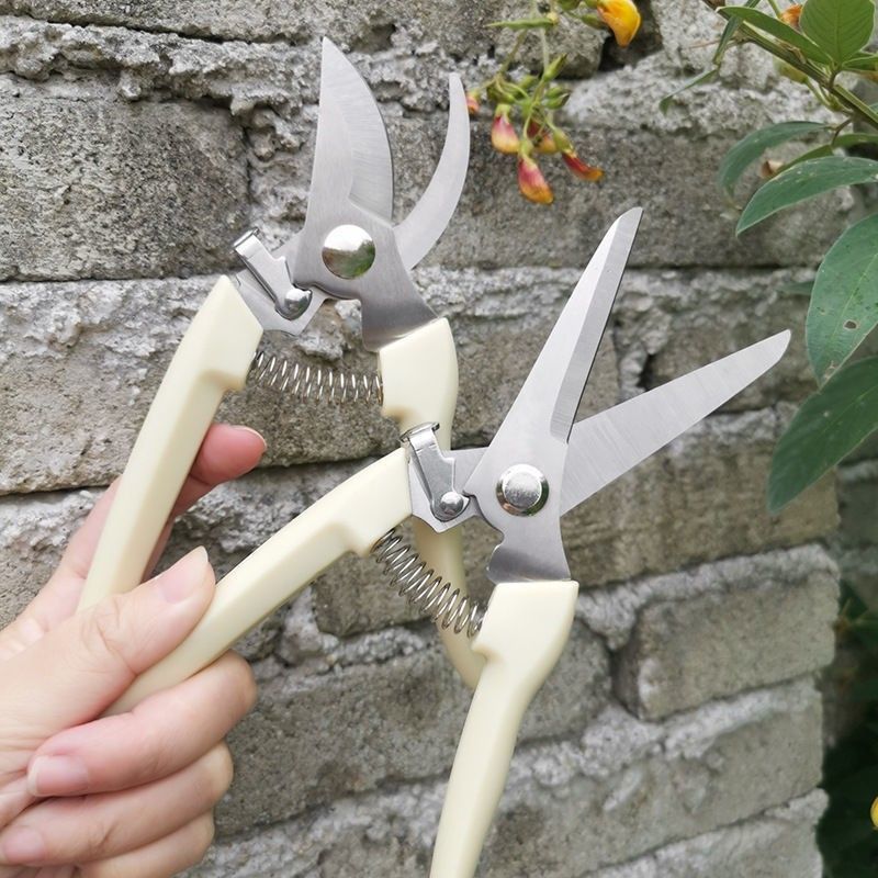 修剪神器园艺剪刀摘水果树枝修花工具盆栽修枝剪不锈钢家用果