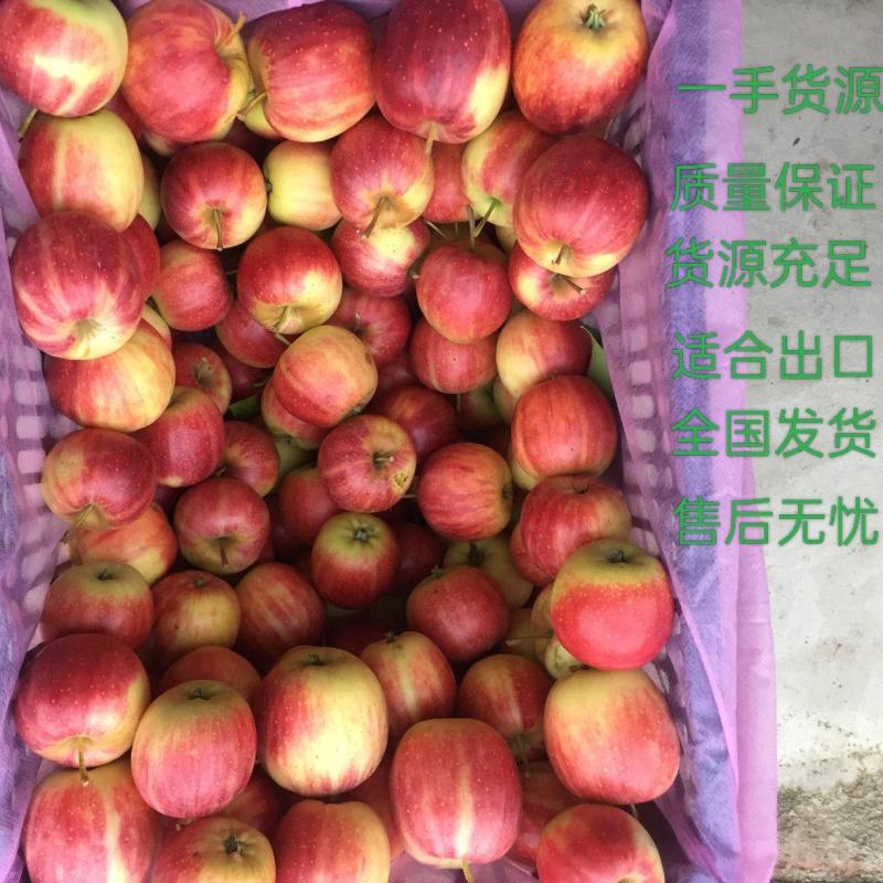 123苹果主产地.