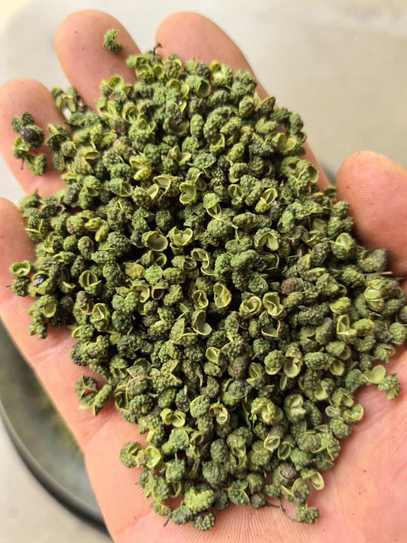 金阳青花椒/麻味纯正/清香浓郁/色翠油亮/很麻很香/精选