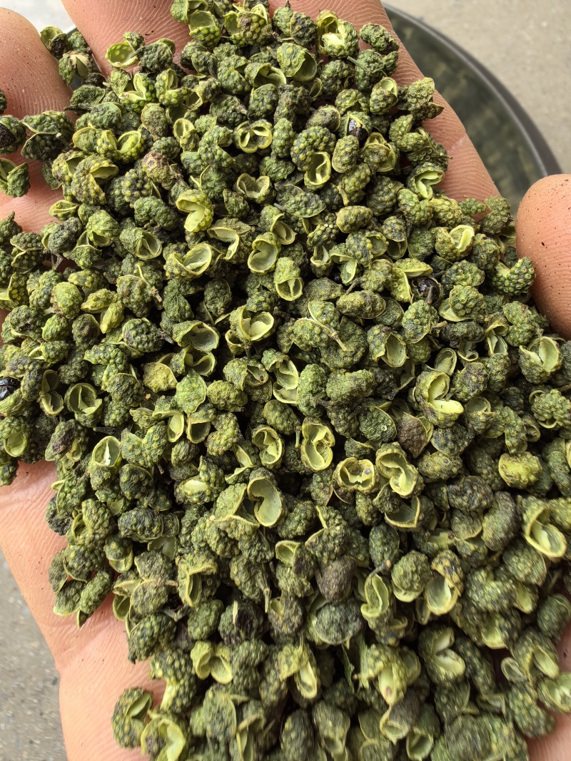 金阳青花椒/麻味纯正/清香浓郁/色翠油亮/很麻很香/精选