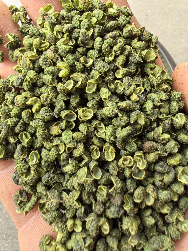 金阳青花椒/麻味纯正/清香浓郁/色翠油亮/很麻很香/精选